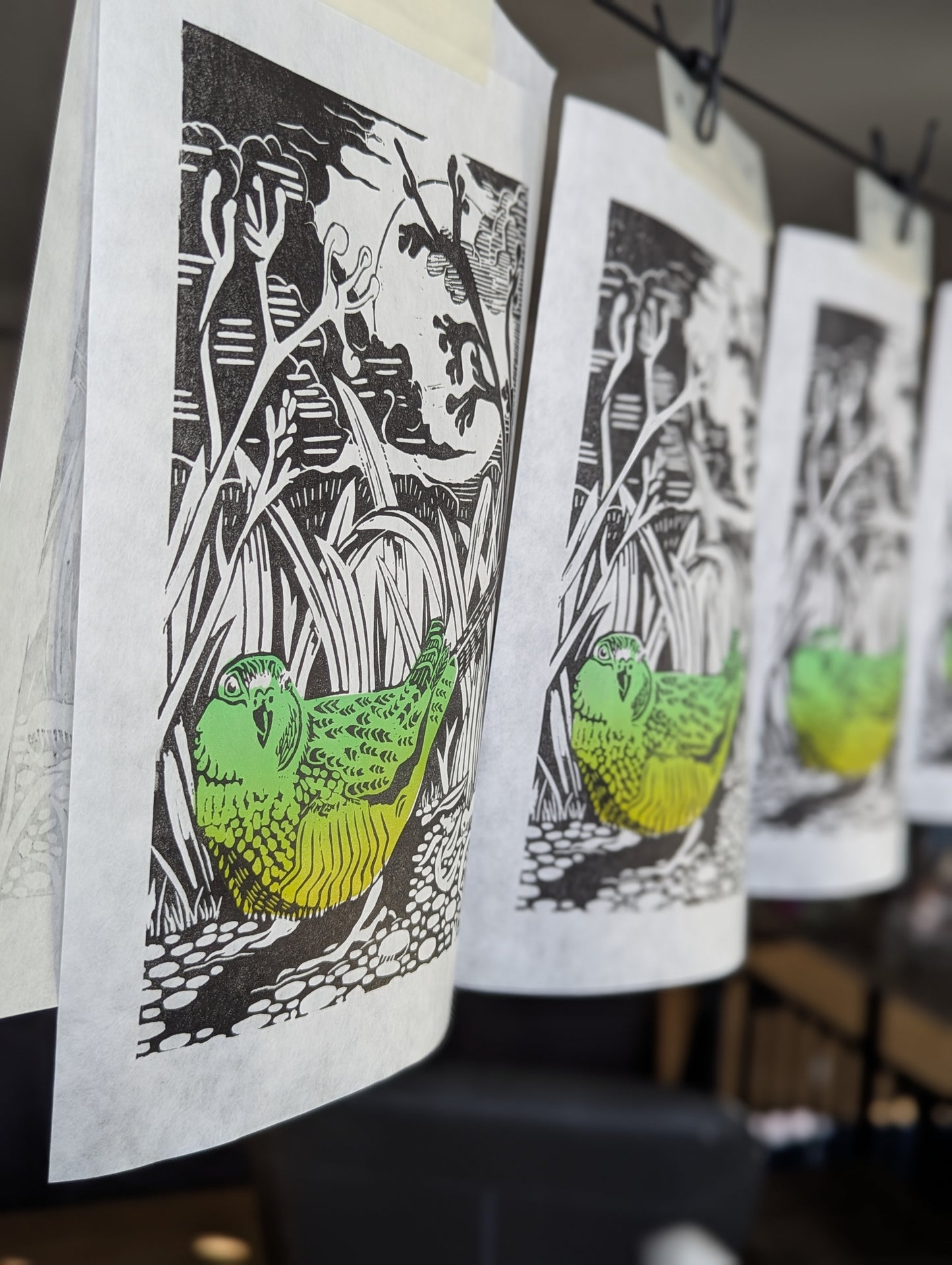 West Australian Ground Parrot relief print