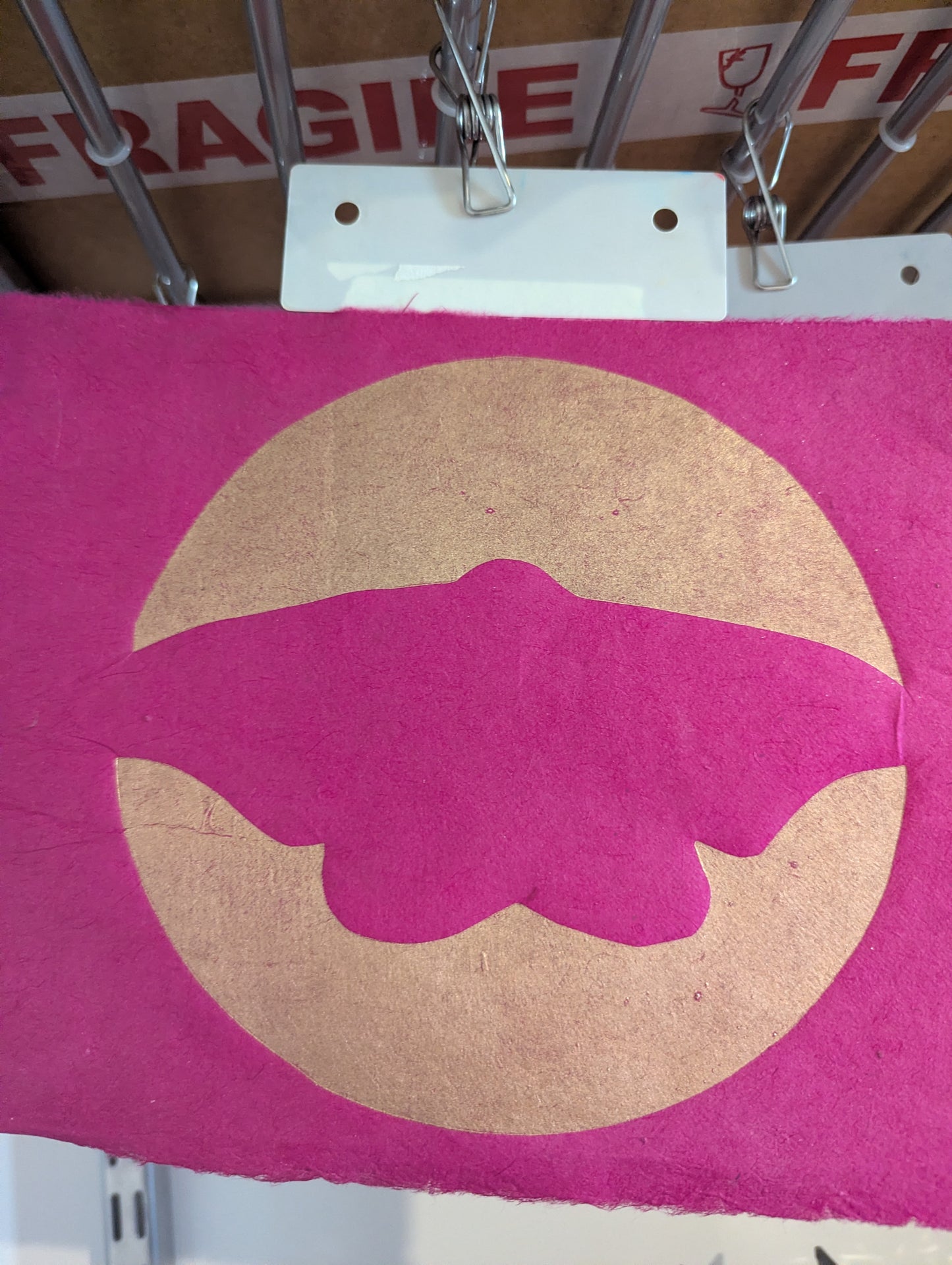 Emperor Gum Moth pink