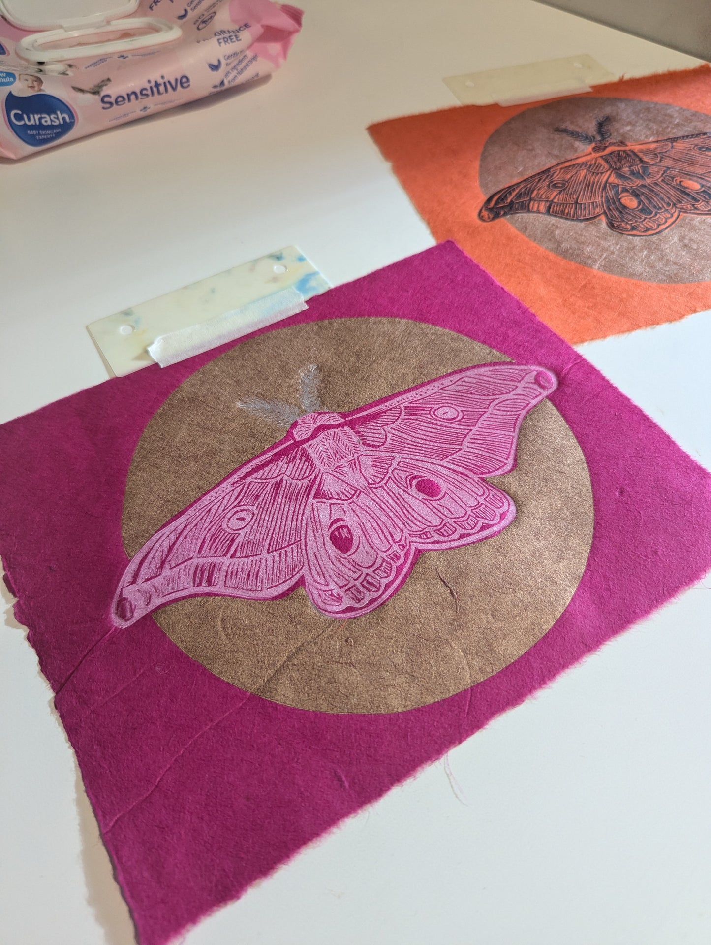 Emperor Gum Moth pink